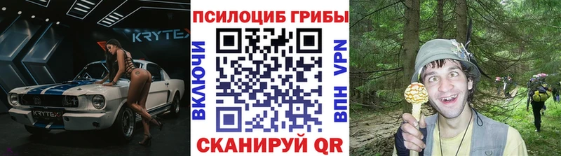 закладка Алатырь omg маркетплейс Псилоцибиновые грибы Magic Shrooms