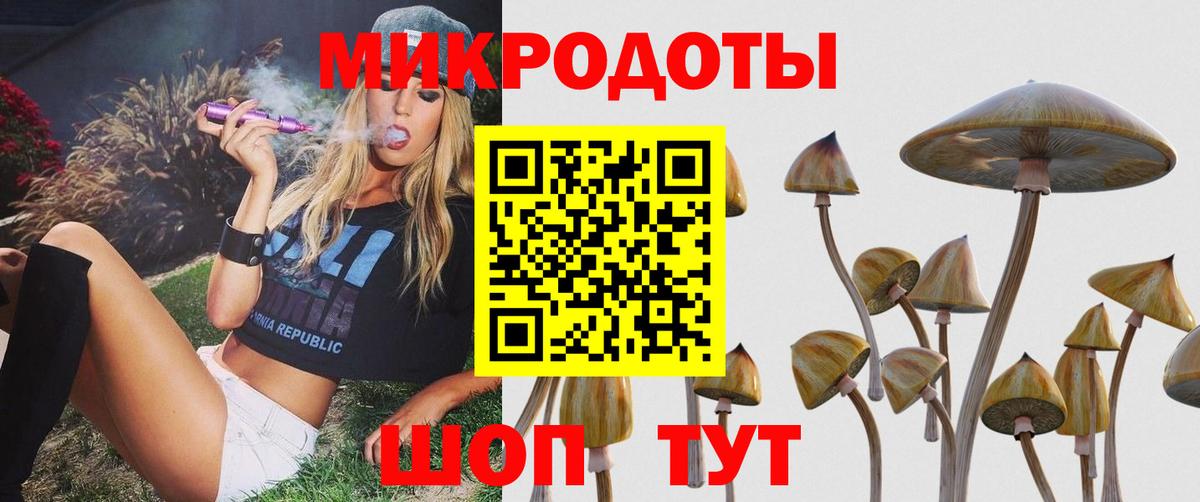 Псилоцибиновые грибы мицелий  Вход с VPN  Галлюциногенные грибы мухоморы  Алатырь 