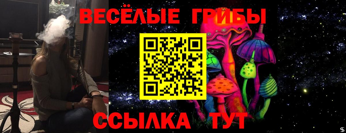 Псилоцибиновые грибы ЛСД Алатырь