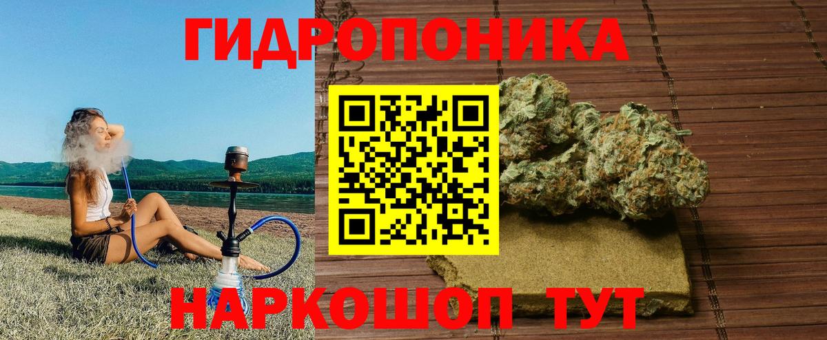 Конопля сатива  Вход с VPN  Алатырь  Канабис план 